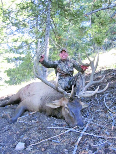 Big elk